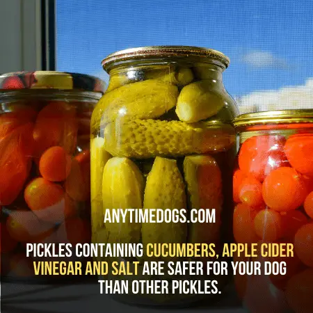 Can dogs eat pickles?