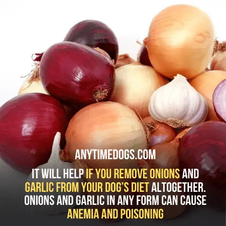 Pickles with onions and garlic are not safe for your dogs