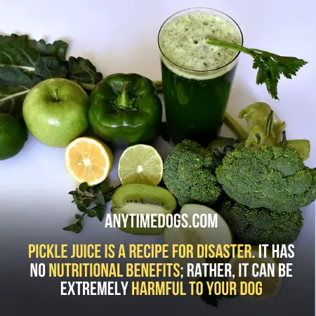 Pickle juice is a recipe for disaster for your dogs