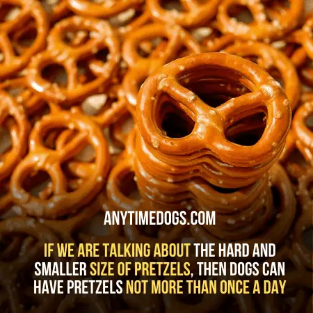 dogs can have pretzels not more than once a day
