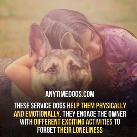 German Shepherd service dogs help them physically and emotionally