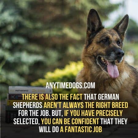 German Shepherds aren't always the right breed