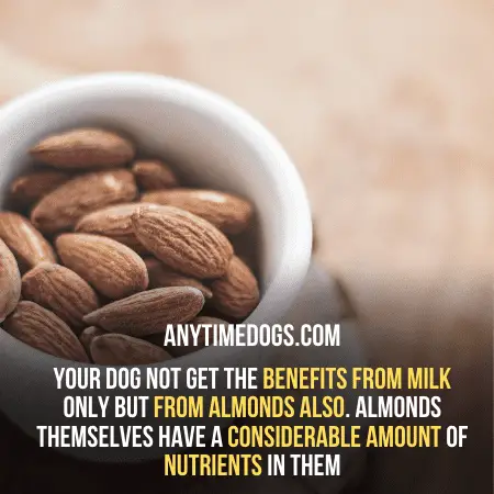 Almonds have considerable amount of nutrients