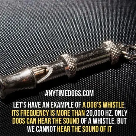 Only dogs can hear the sound of a whistle, but humans cannot