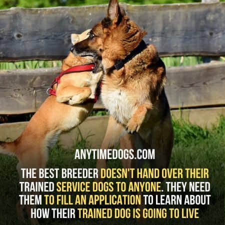 The best breeder doesn't hand over their trained german shepherd service dogs to anyone