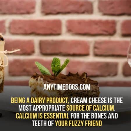 Cream cheese is the most appropriate source of calcium
