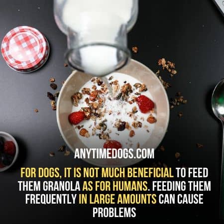 Is it beneficial for your dog to Eat Granola