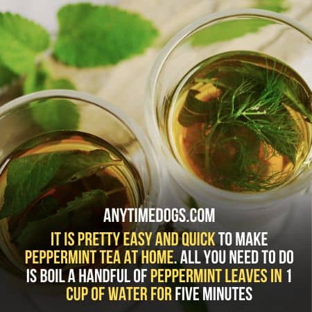 Peppermint tea for your dogs is a good option and can be made easily and quickly