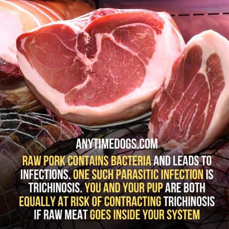 Raw bacon contains bacteria