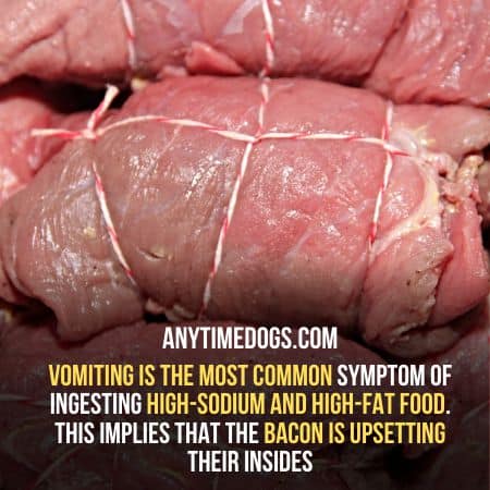 Raw bacon may cause vomiting to your dog