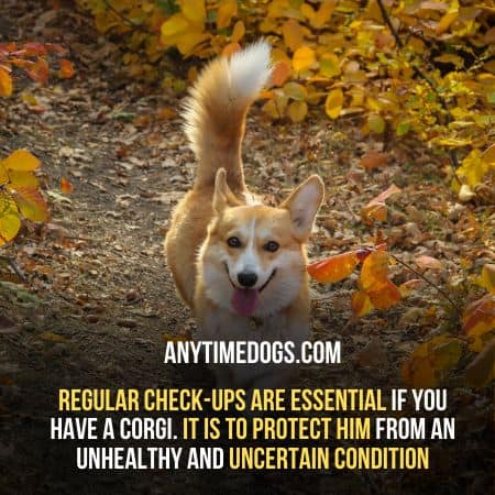 Regular checkups are essential