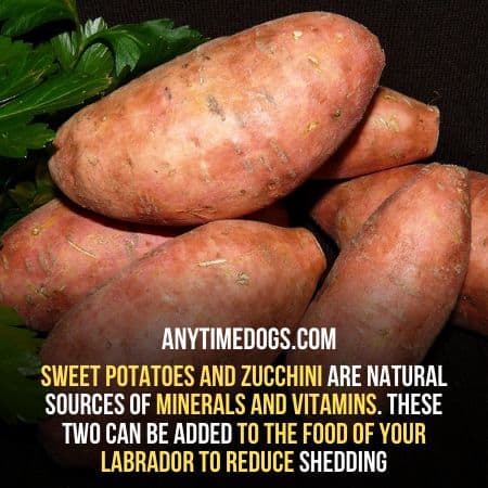 Sweet potatoes can help to reduce shedding in labs
