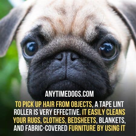 Use tape lint roller to avoid shedding