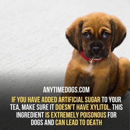Xylitol is harmful for your dogs