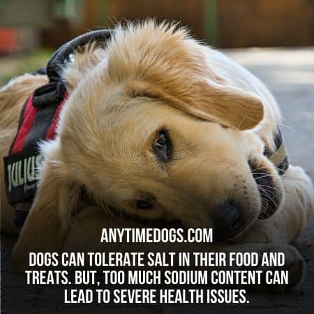 Dogs can tolerate salt in their food in a limited amount
