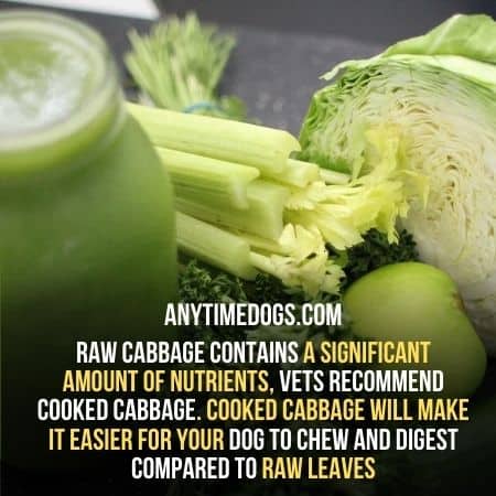 Feed cooked cabbage to your dogs instead of raw cabbage