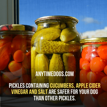 are sweet pickles good for dogs