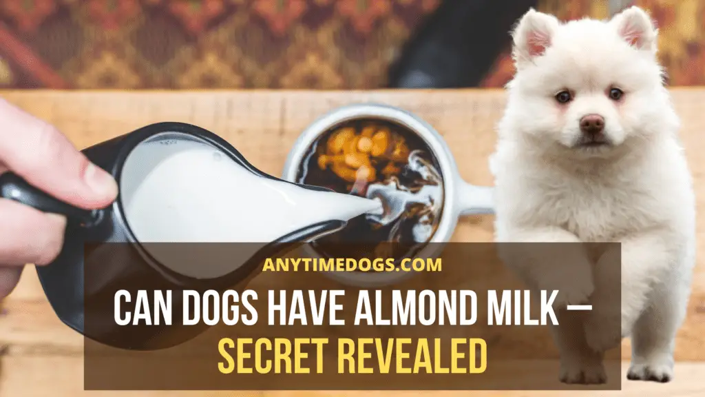 Can Dogs Have Almond Milk