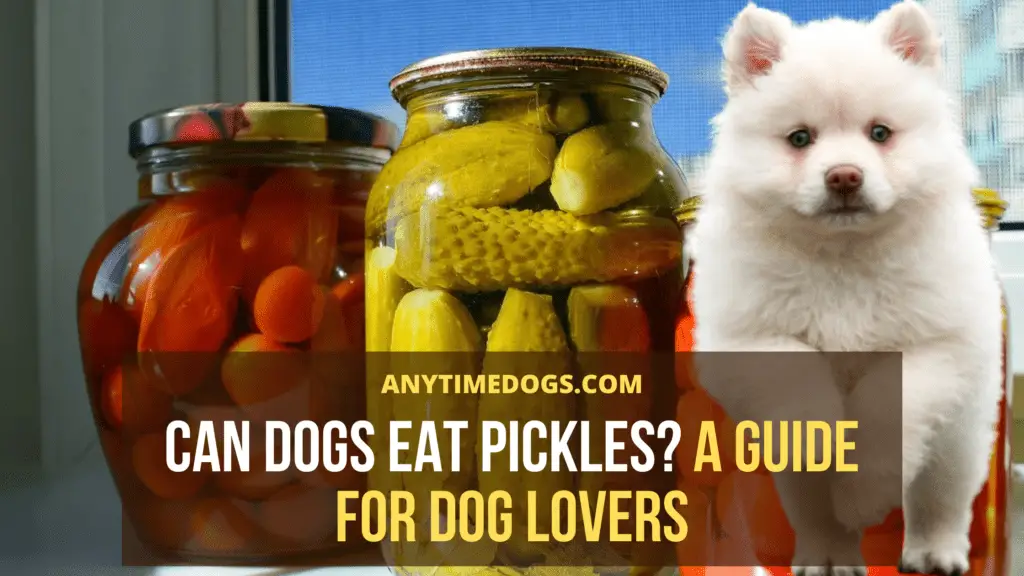 Can Dogs Eat Pickles