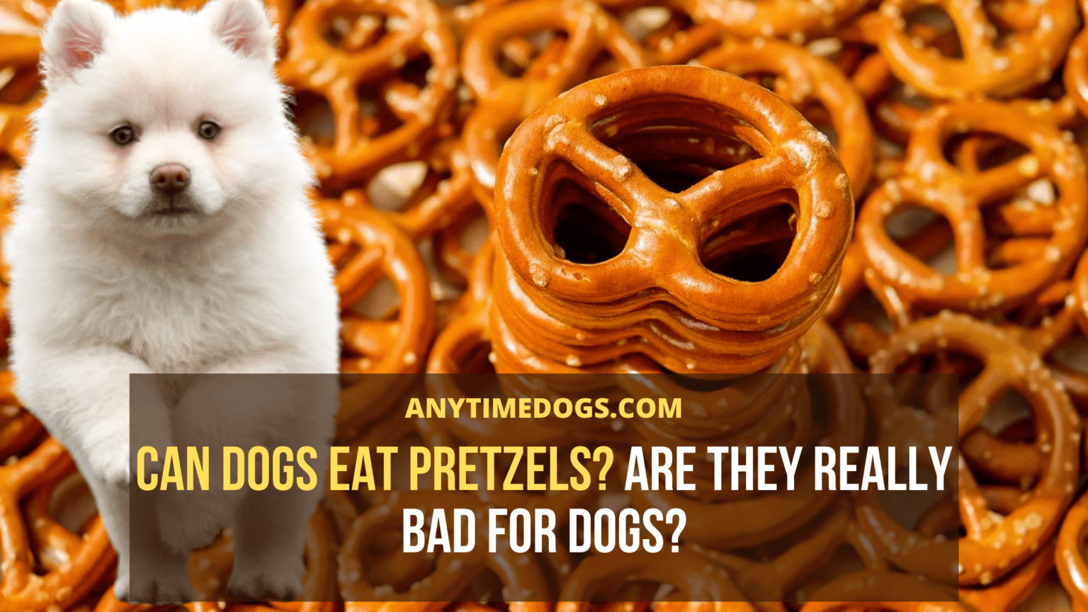 Can Dogs Eat Pretzels? Are They Really Bad For Dogs? AnyTimeDogs