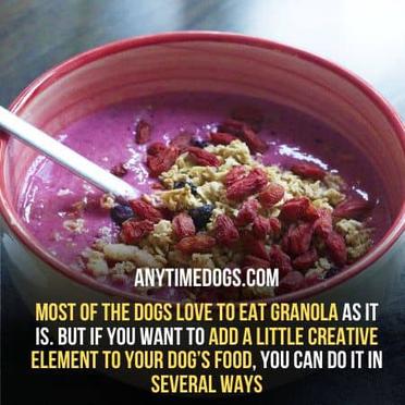 is granola good for dogs to eat