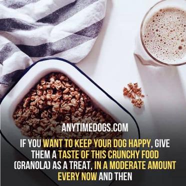 is granola good for dogs to eat