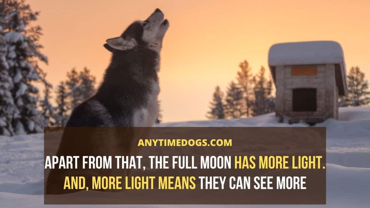 The full moon has more light