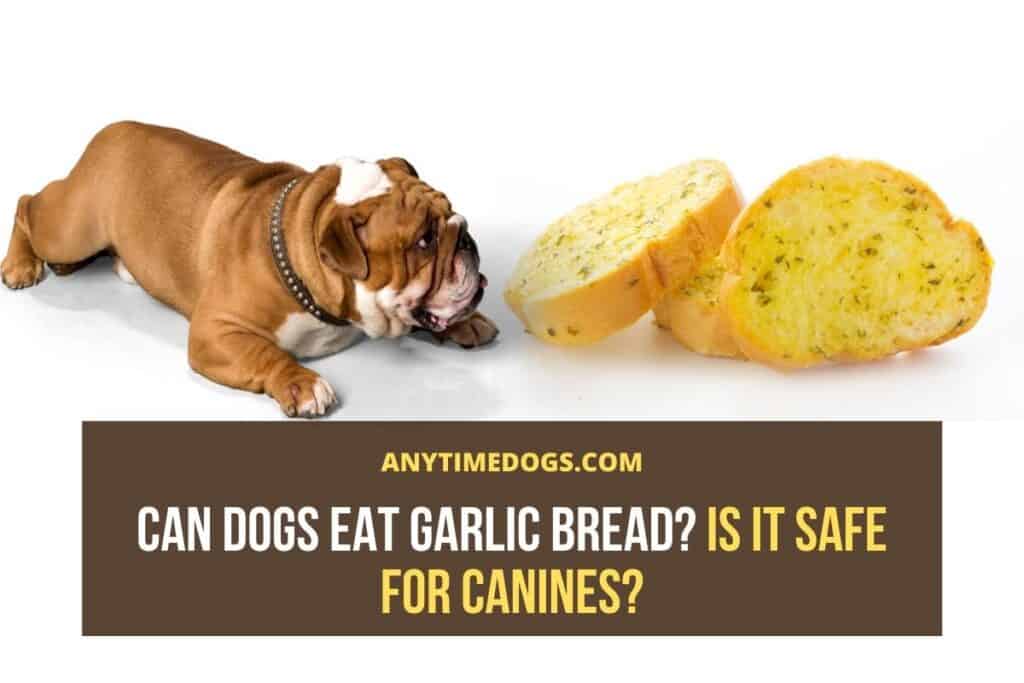Can Dogs Eat Garlic Bread