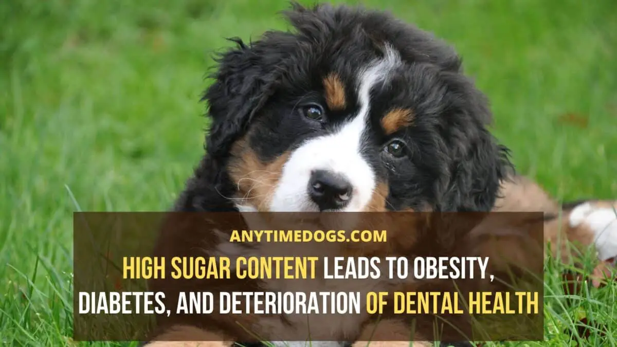 High sugar content leads to obesity, diabetes, and deterioration of dental health of dogs