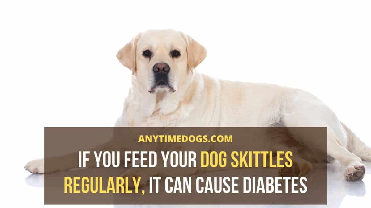 If you feed your dog skittles regularly, it can cause diabetes