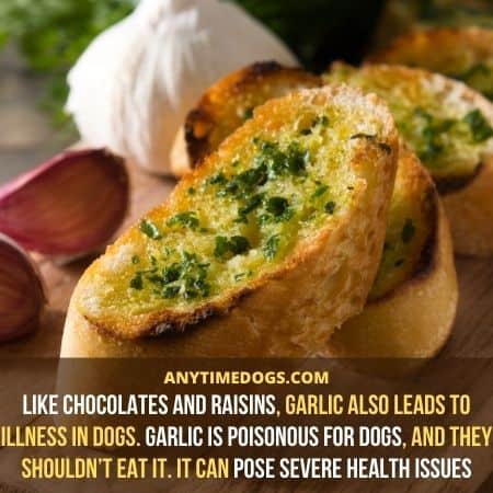 Like chocolates and raisins, garlic also leads to illness in dogs