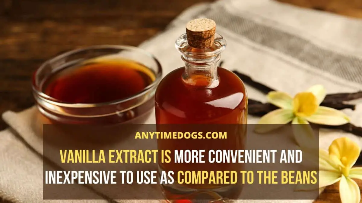 Vanilla Extract is more convenient and inexpensive to use as compared to the beans for dogs