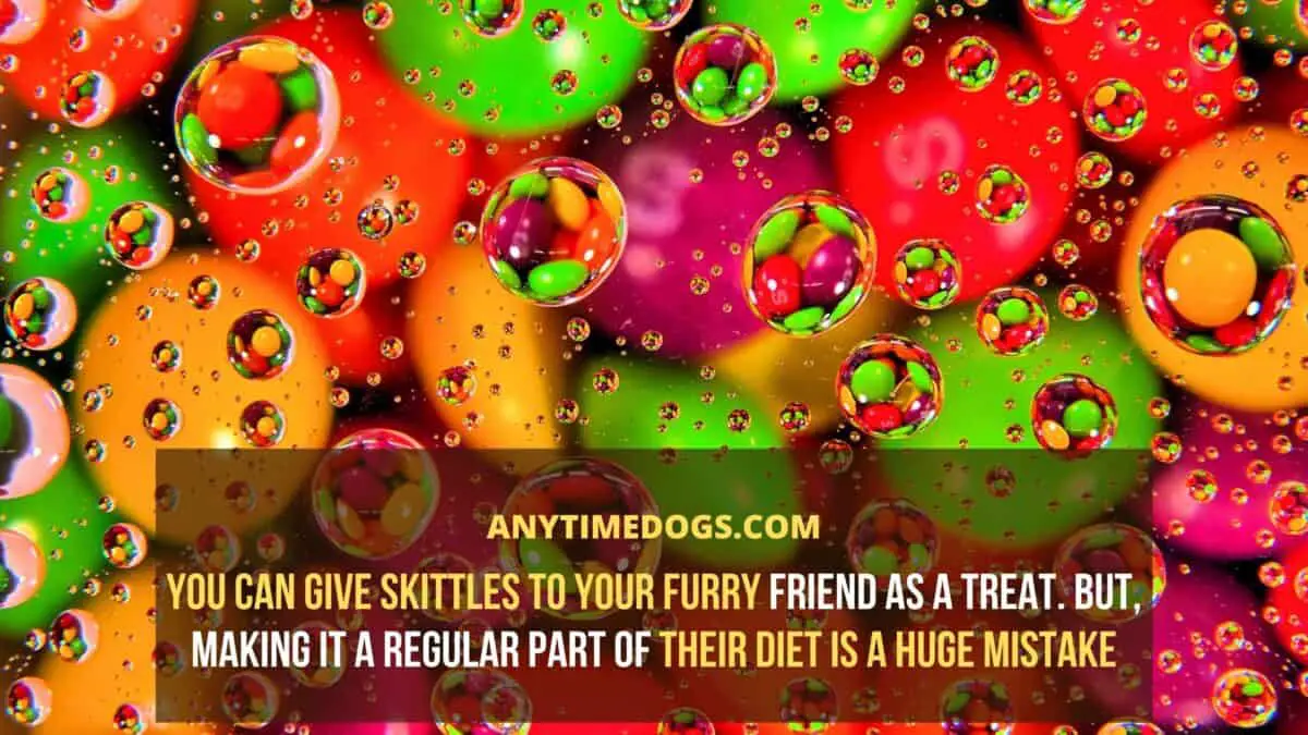 You can give skittles to your furry friend as a treat