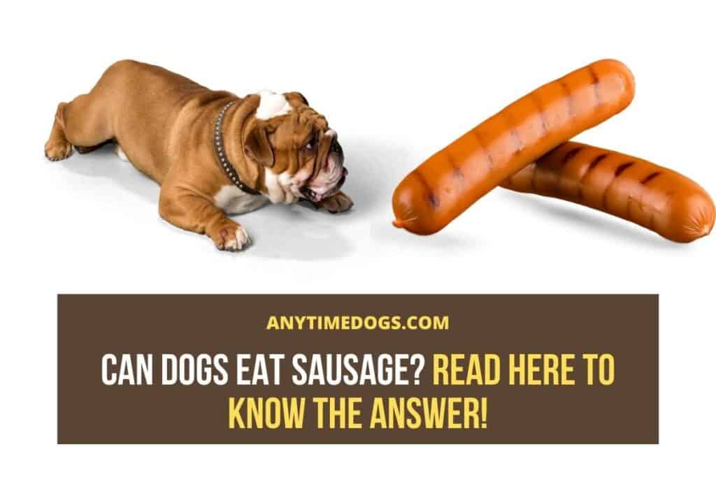 Can Dogs Eat Sausage