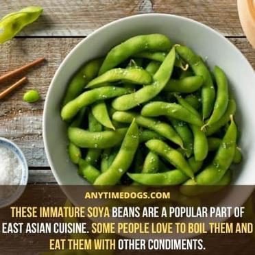 are edamame pods safe for dogs