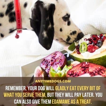 Can Dogs Eat Edamame: Remember, your dog will gladly eat every bit of what you serve them