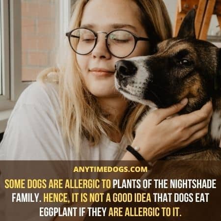 Some dogs are allergic to plants of the nightshade family