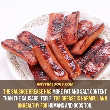 Can Dogs Eat Sausage: The sausage grease has more fat and salt content than the sausage itself