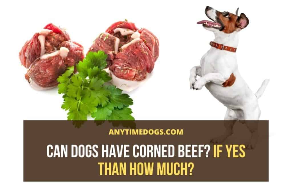 Can Dogs Have Corned Beef