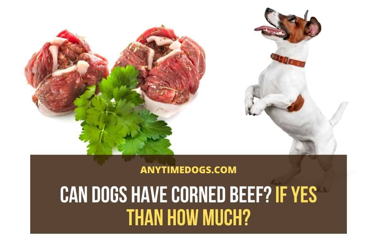 does dogs need meat