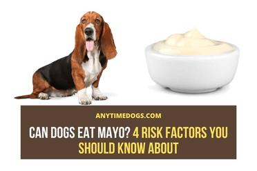 is mayo ok for dogs