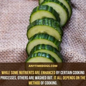 Can Dogs Eat Cucumbers? Are Cucumbers Safe for Dogs - AnyTimeDogs