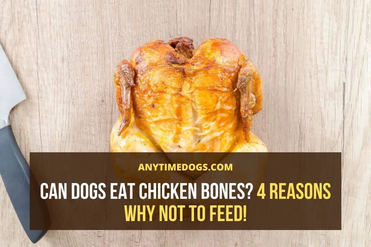 Can Small Dogs Eat Cooked Chicken Bones